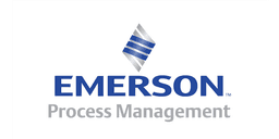 Emerson Process Management Logo