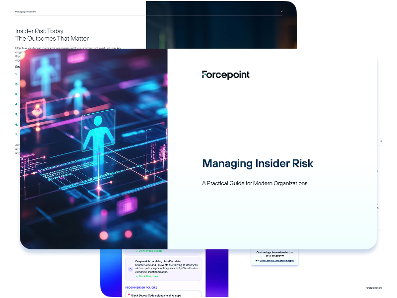 Managing Insider Risk ebook image